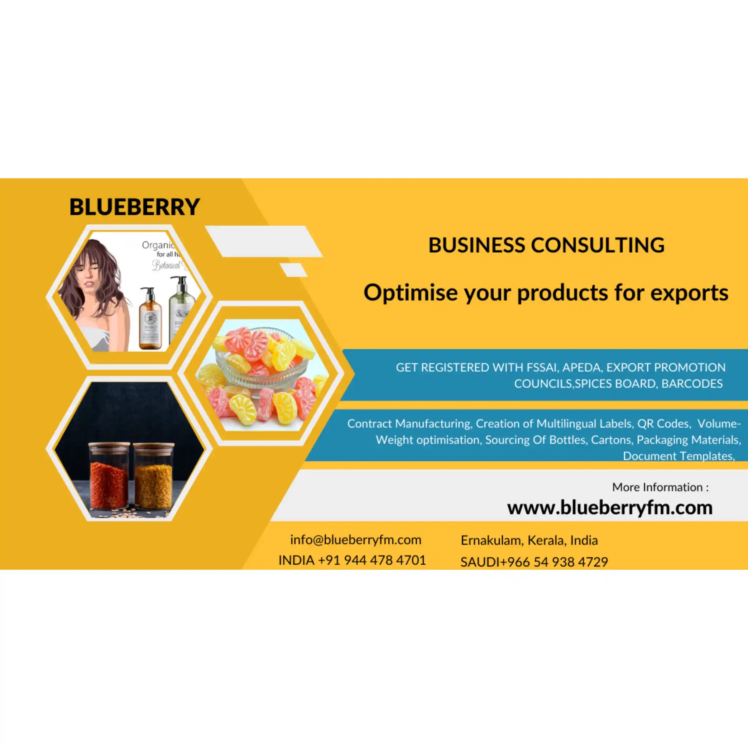 export-optimization-market-entry-services-kerala-businesses
