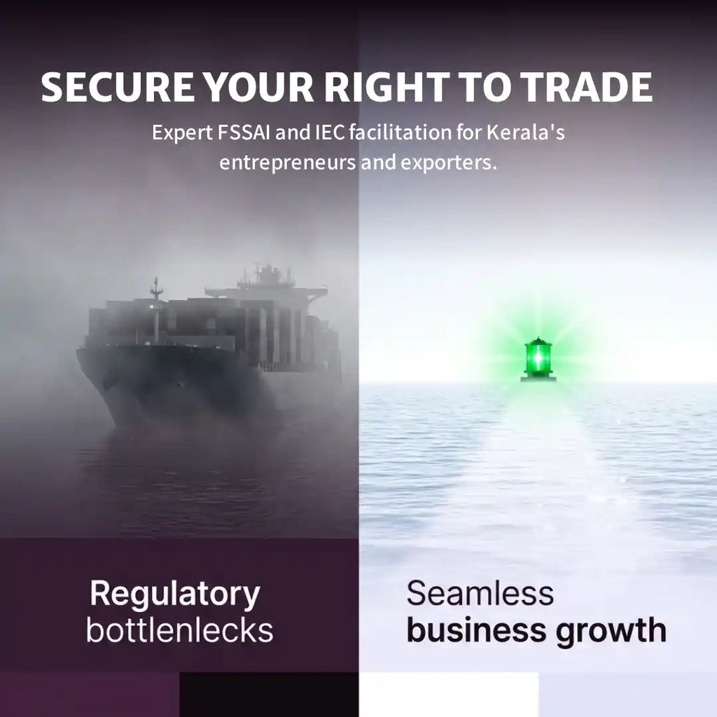 structured-export-finance-solutions-kerala-businesses-j